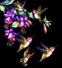 sweet nectar birds animated