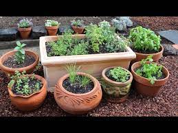 How To Plant A Culinary Herb Garden