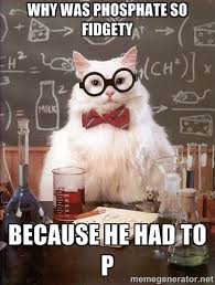 why was phosphate so fidgety because he had to p - Chemistry Cat ... via Relatably.com