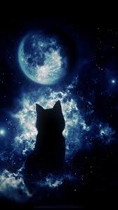 Anime Cat Staring At The Moon Hd