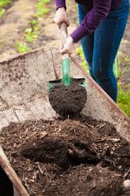 soil in your garden