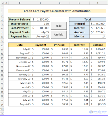 make credit card payoff calculator with