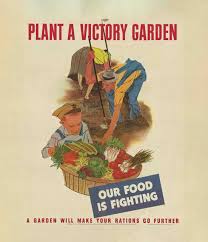 the modern revival of victory gardens