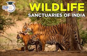 wildlife sanctuaries of india map