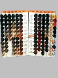 Hair Color Chart Maker China Manufacturer Product