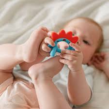 how to wash teething toys a teether
