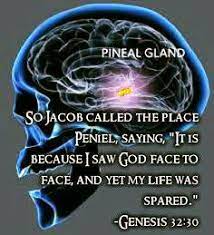 Ambassadors of Initiates - We are told that ages ago the PINEAL GLAND was  an organ of sense orientation by which man cognized the SPIRITUAL world,  but that with the coming of