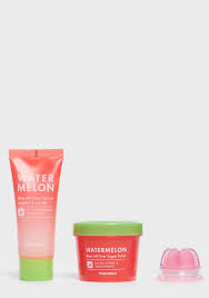 tonymoly watermelon skin care gift set