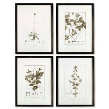 Framed Sepia Tone Botanical Prints Set