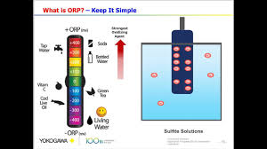 Understanding Orp Basic