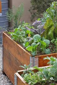 Food Garden Diy Food Gardening