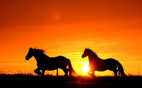 Image result for sunsets