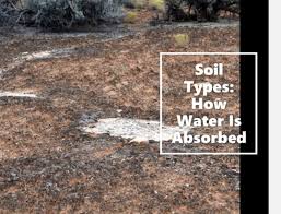 soil types absorb water in your garden