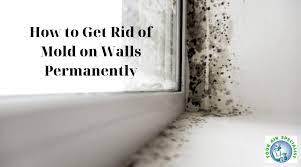 How To Get Rid Of Mould On Walls