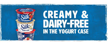 plain soy dairy free yogurt alternative