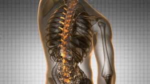 In games, we don't usually deal with the bones of the sacrum and. Backbone Backache Science Anatomy Scan Of Human Spine Bones Glowing With Yellow Video By C Icetray Stock Footage 125846866