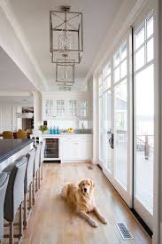 28 dog room ideas you and your best