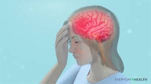Internal organs include the vas deferens, prostate and urethra. What Happens In The Body During A Migraine Everyday Health