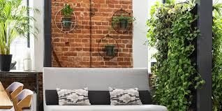 vertical green wall with houseplants