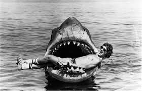 Jaws Film Essay   GCSE English   Marked by Teachers com Jaws  A Visual Essay on Why Continuity Doesn t Matter