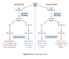 acid base decision tree summary