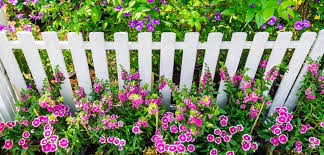 how to paint a garden fence matt the