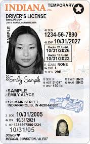 bmv licenses permits ids driver s