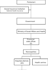 Organizational Chart Of The Health Care System Download