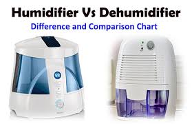humidifier or dehumidifier what should