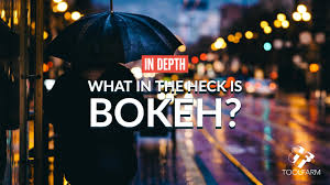 9,345 best bokeh free video clip downloads from the videezy community. In Depth What In The Heck Is Bokeh Toolfarm