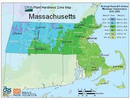Massachusetts Vegetable Planting Calendar
