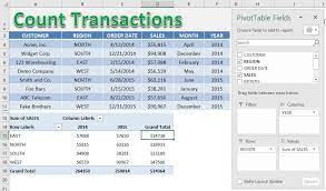 pivot table count transactions