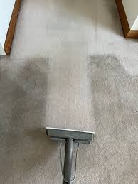 carpet upholstery cleaning in