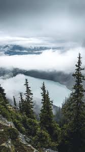 mountain lake trees mist morning iphone
