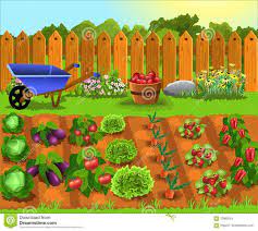 Cartoon Garden Vegetable Garden Design