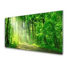 Glass Wall Art Forest Nature Brown