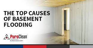 If you're dealing with puddles on the floor, consider renting a wet vac or. The Top Causes Of Basement Flooding Puroclean Hq