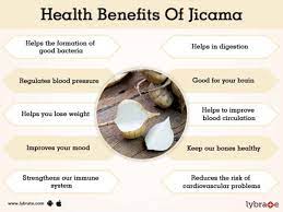 benefits of jicama and its side effects