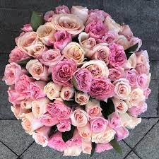 Красивый букет из 77 садовых кенийских роз по цене 24976 руб. заказать с  доставкой по Москве - свежие цветы от интернет-магазина Во имя розы