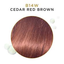 The auburn shade is rich in the reddish pigments that gives a softer tone and the light icy brown hair is perfect to bring out the blue and gray eyes. Cedar Red Brown Beautiful Collection Semi Permanent Hair Color By Clairol Semi Permanent Hair Color Sally Beauty