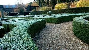 Italian Garden Wiston House 19 January