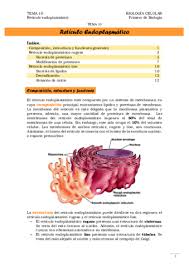 tema 10 retículo endoplasmático