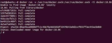 nested docker containers run docker in