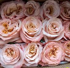 rose arrangements