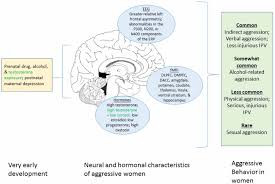 Frontiers Aggression In Women Behavior Brain And