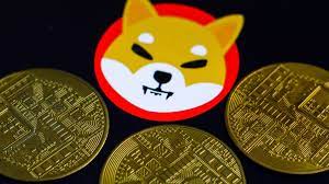 Shiba Inu coin reaches highs to become ...