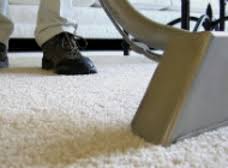get steamed carpet cleaning north
