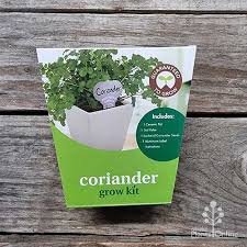 grow kit coriander australian plants