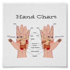 Hand Reflexology Chart Zazzle Com Emoji Hand