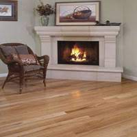 beech wood flooring species